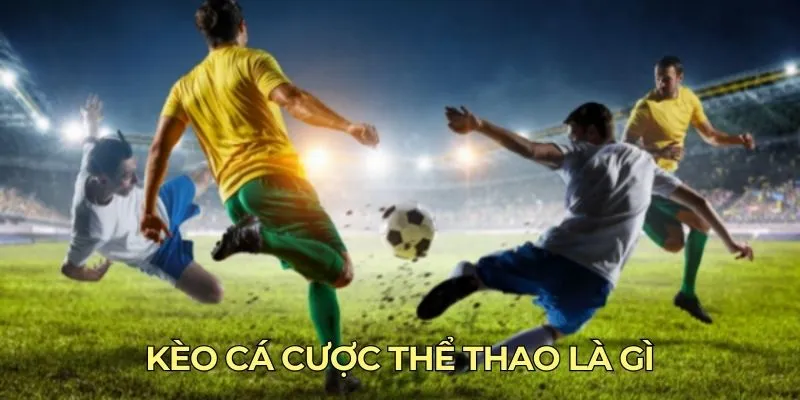 Các hình thức cá cược thể thao 