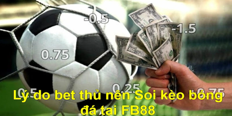 Lý do bet thủ nên soi kèo bóng đá tại fb88